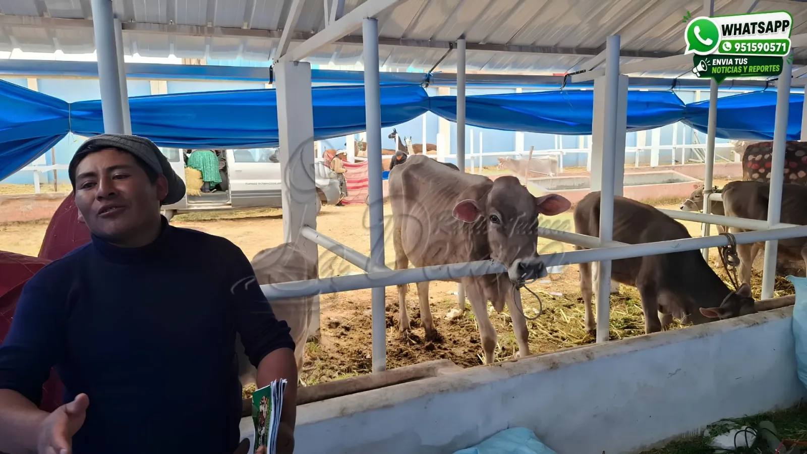 Productor-Ganadero-de-Taraco-David-Suaña-Mamani