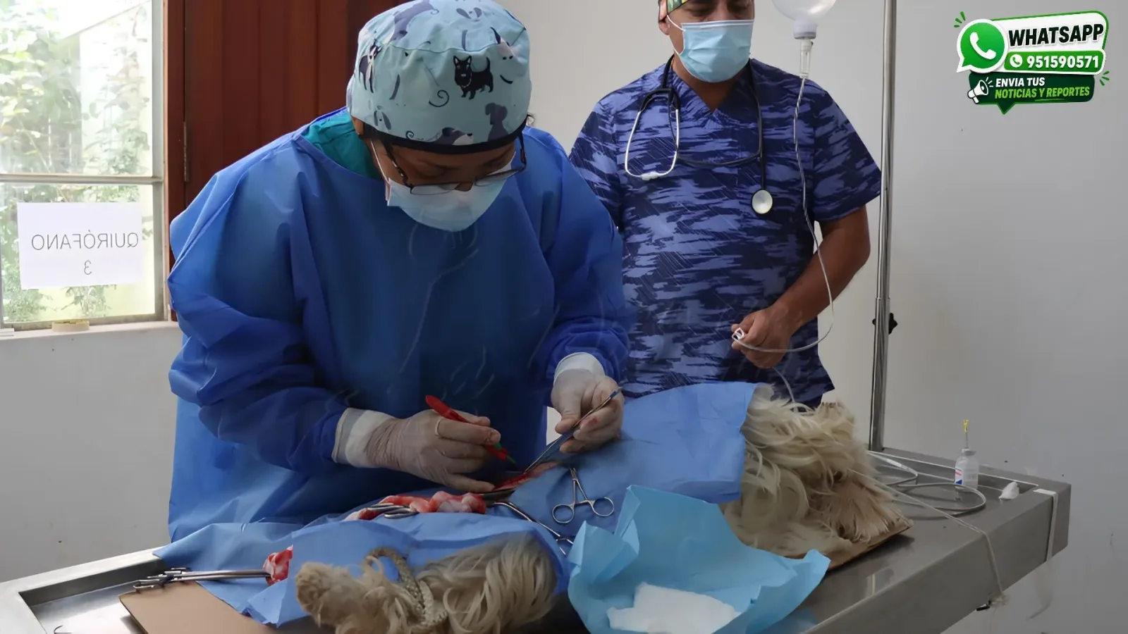 Esterilización