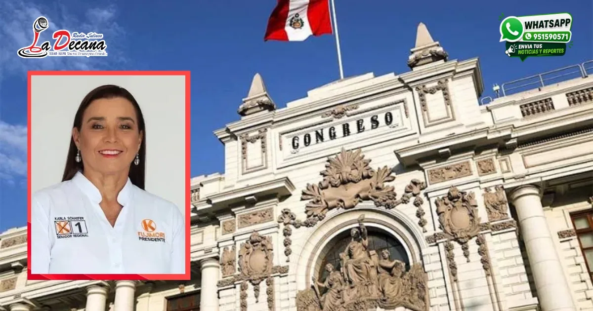 Senadora Karla Schaefer recibió 20 mil soles de empresario
