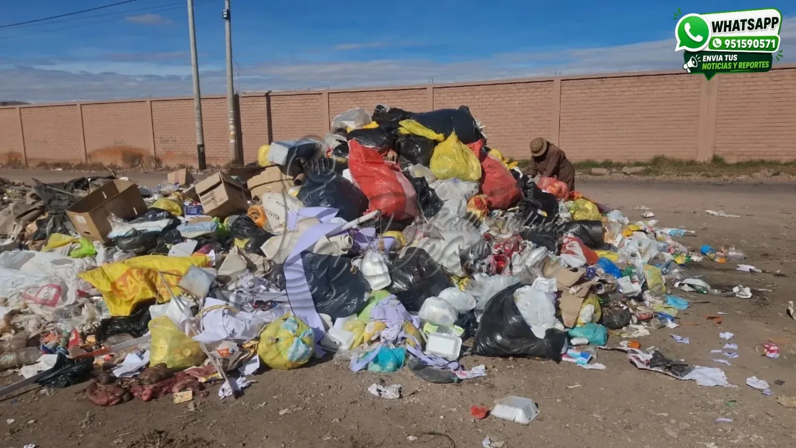 Basuara-en-Casuarinas-Municipalidad-de-San-Román