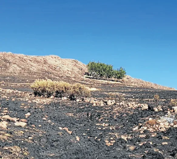 incendio forestal