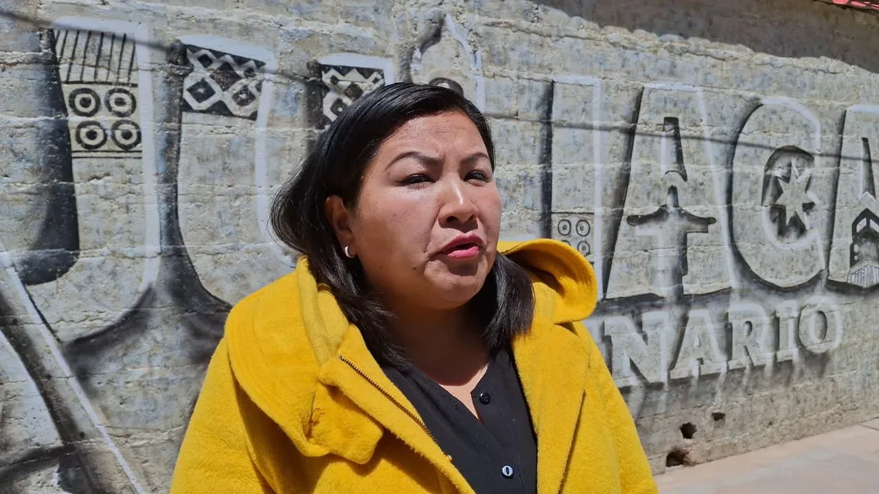 Margot Ruiz Apaza - OMAPED