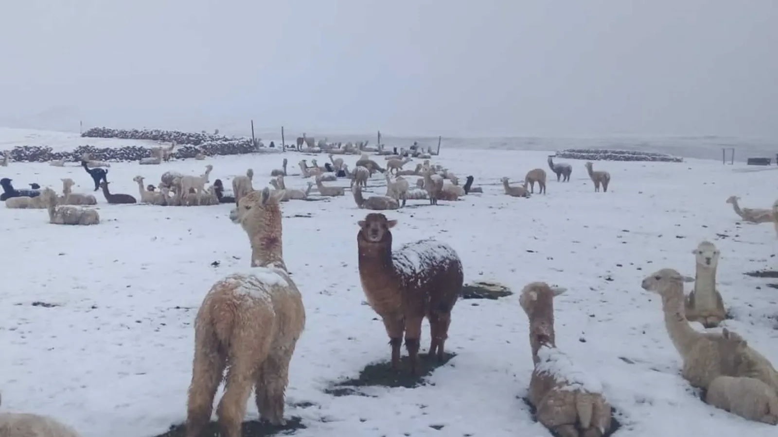 nevado en Puno