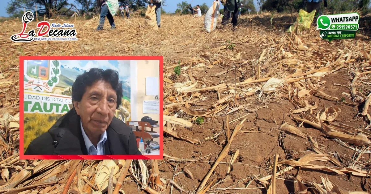 subgerente de Actividades Económicas, Agropecuarias, Turismo y Mypes de la municipalidad, Abdias Zelio Ponce