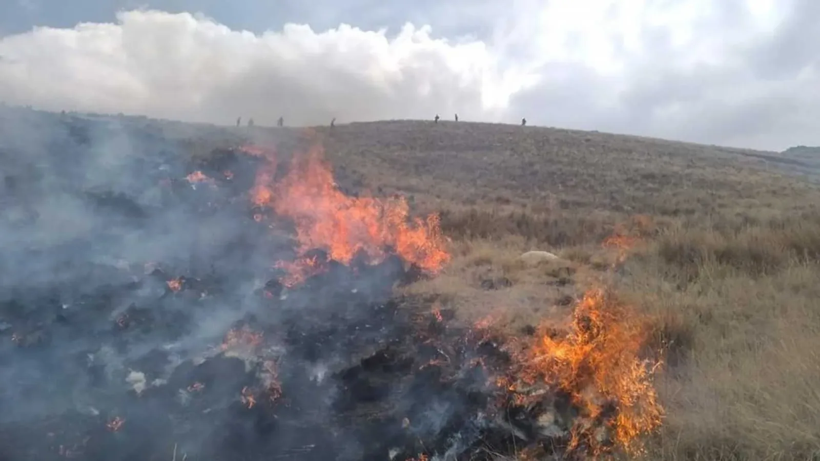 incendio-forestal