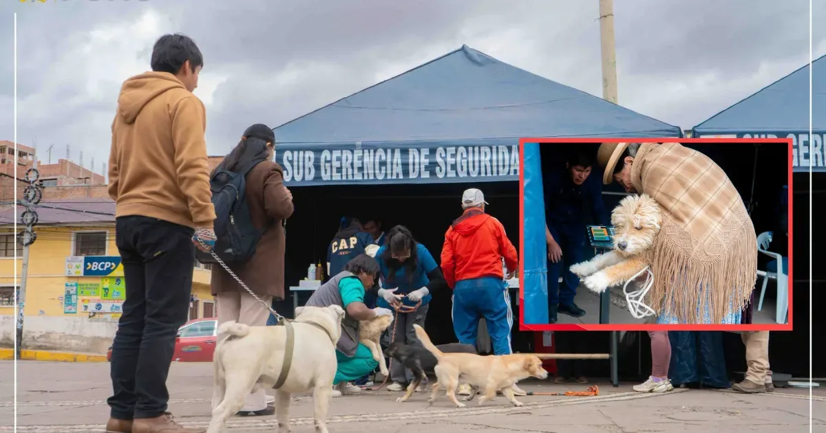 Más de 200 mascotas reciben desparasitación y vitaminas gratis