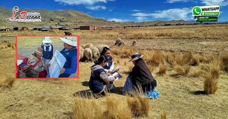Más de 3 mil miembros de mesa reciben credenciales en zonas alejadas de Puno