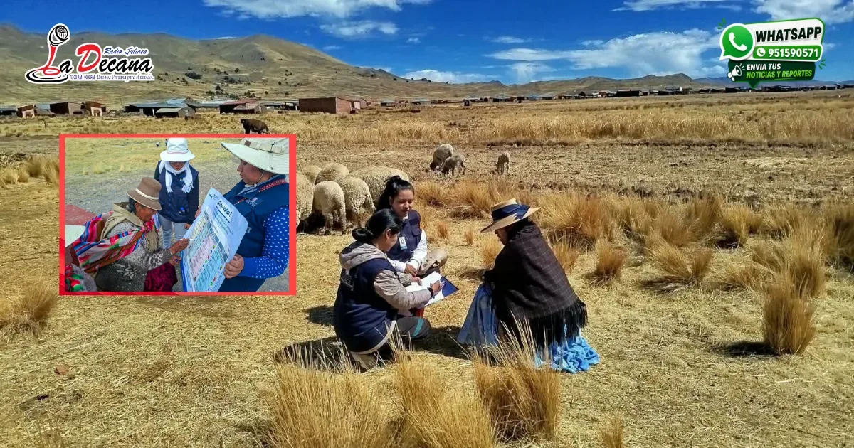 Más de 3 mil miembros de mesa reciben credenciales en zonas alejadas de Puno
