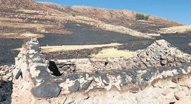 incendio forestal