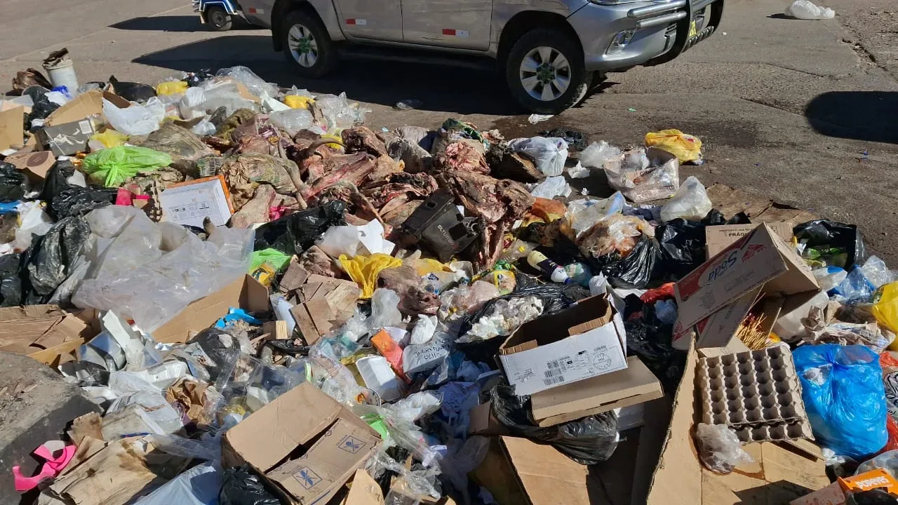 20 cabezas de vacuno en la vía pública