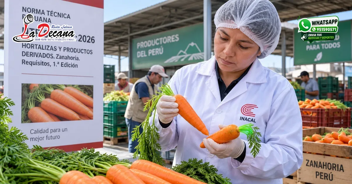INACAL aprueba nueva norma técnica para la comercialización de zanahorias