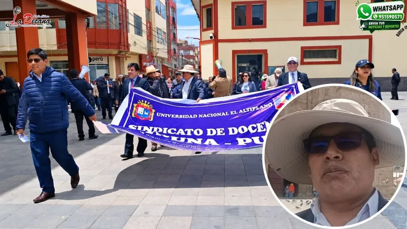 Docentes Universitarios