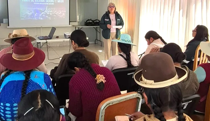 capacitacion puno