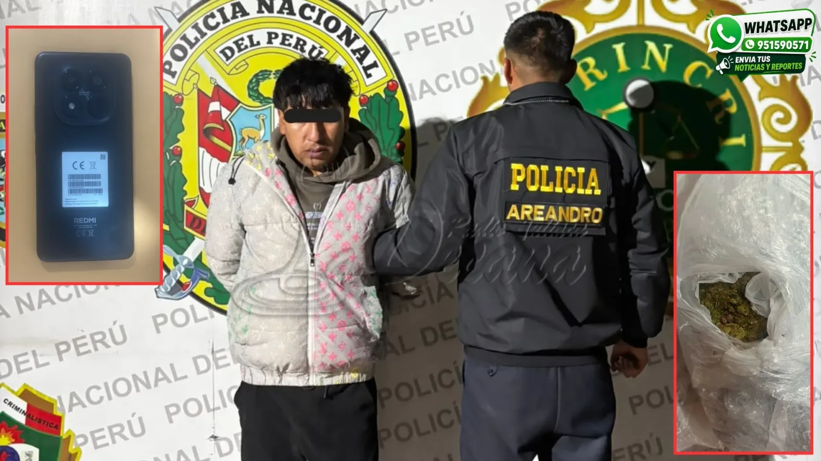 Detienen a sujeto alias “Caballo” por presunto tráfico ilícito de drogas