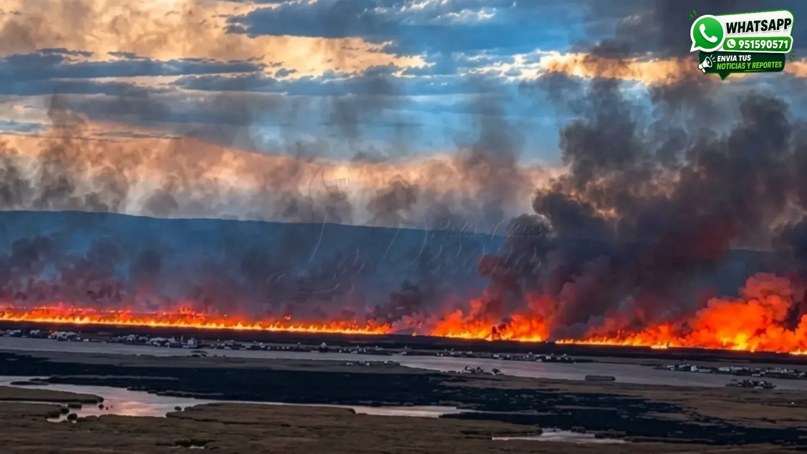 Incendio forestal en el lago Titicaca consume totorales y genera preocupación por posibles daños a viviendas
