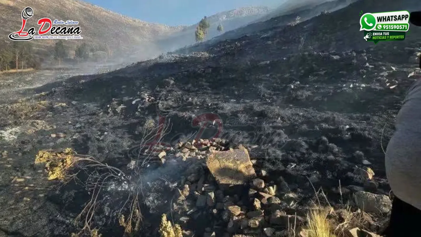 incendios forestales