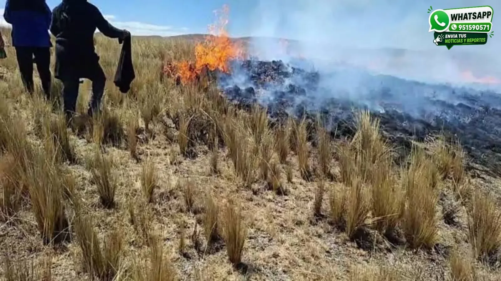 Incendio-forestal-en-el-Distrito-de-Cabana