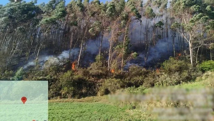 agricultor fue condenado por provocar un incendio forestal