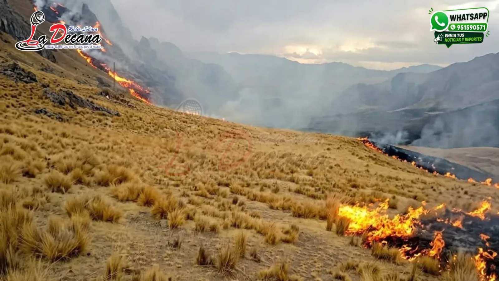 Incendios forestales en Lampa arrasan pastizales, afectan una vivienda y dejan más de 20 familias damnificadas