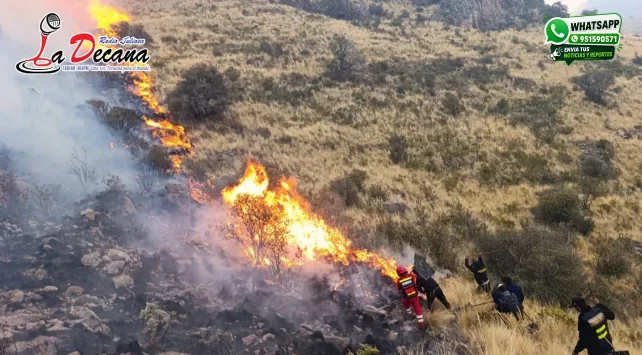 incendio forestal