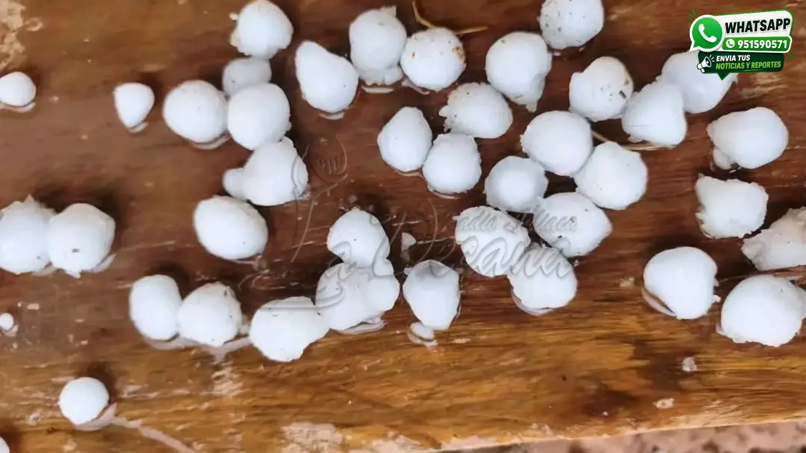 Granizada afecta cultivos agrícolas en cuatro sectores del distrito de Chupa