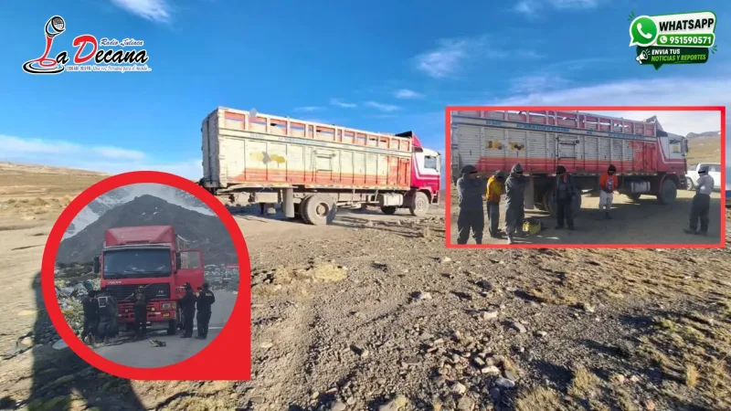 Detienen a nueve personas e incautan dos camiones con presunto relave minero en la Rinconada