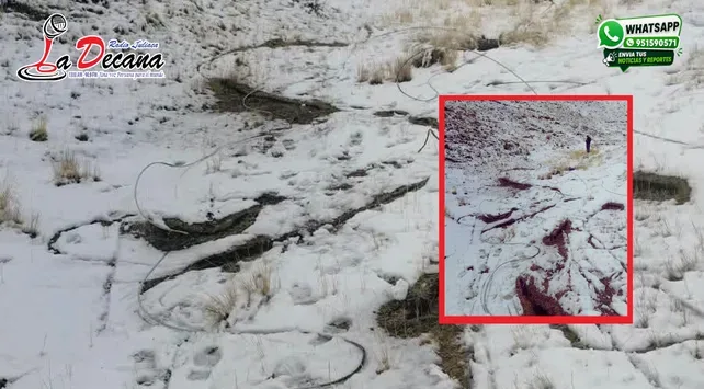 Fuertes nevadas en la provincia de Carabaya ponen en riesgo el servicio de energía eléctrica