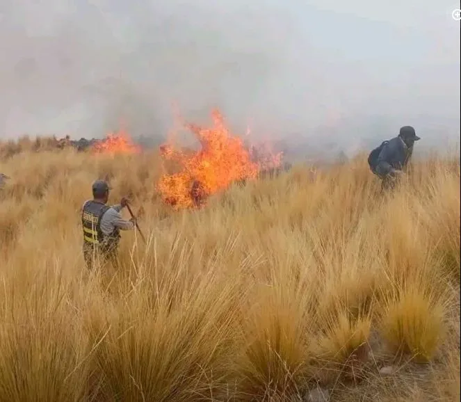 Incendio-en-Lampa