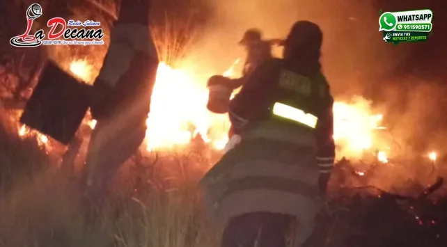 INCENDIO FORESTAL PUNO