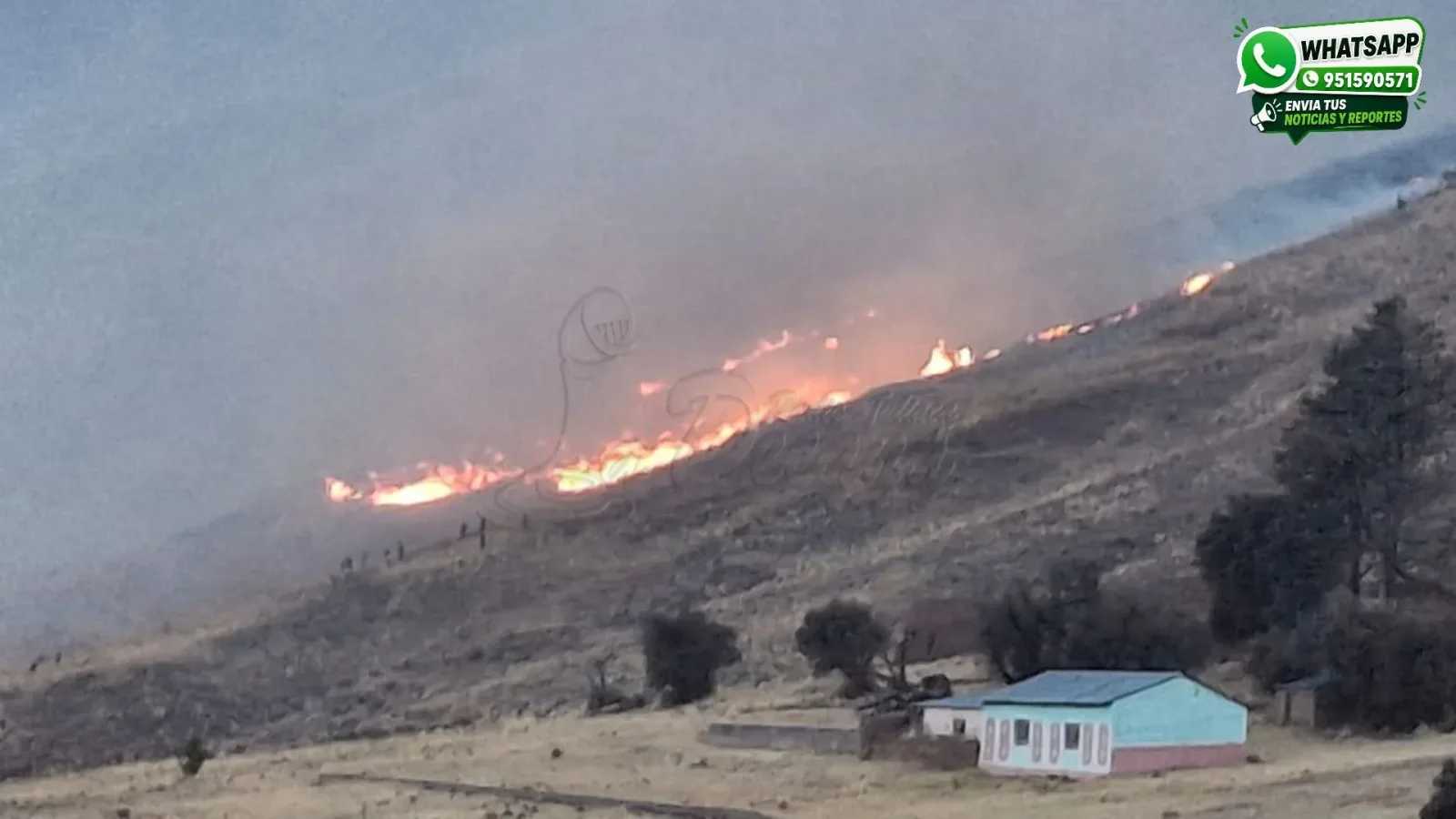 Incendio forestal avanza hacia Pucará y bomberos denuncian falta de apoyo de las autoridades