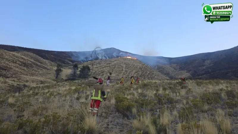Bomberos y pobladores luchan por controlar las llamas