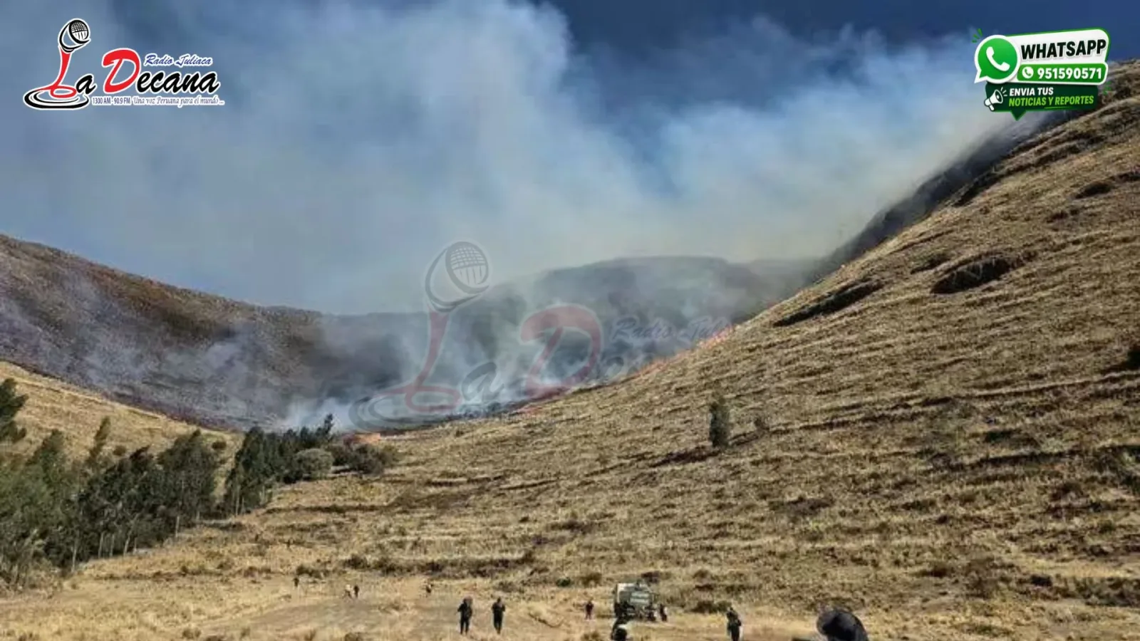 incendios forestales