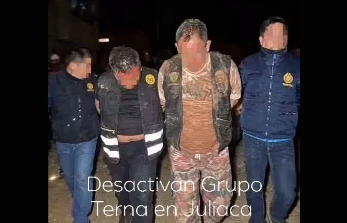 Grupo Terna