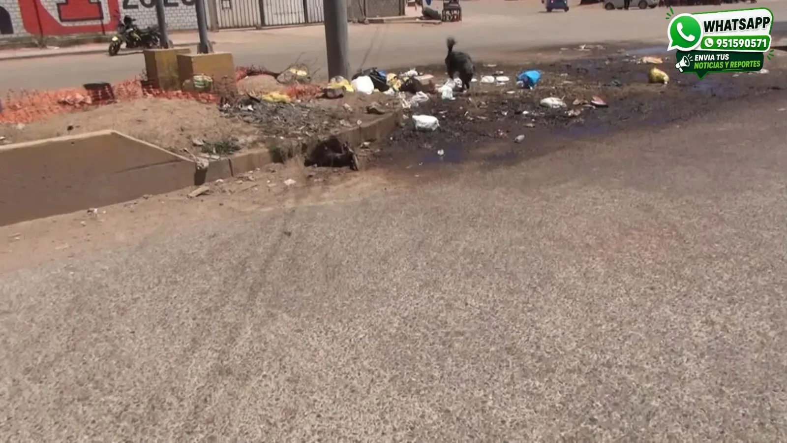Comerciantes de la avenida Huancané denuncian arrojo de vísceras y desechos de animales que contaminan la zona