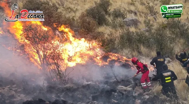 incendio forestal