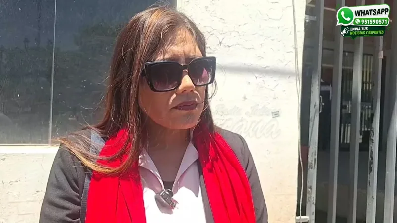 fiscal de Prevención del Delito, Marifé Añasco Yáñez